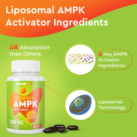 Mechicoco Liposomal AMPK Activator Capsules 2000 mg(2 Package),6-in-1 Formula with Quercetin Dihydrate, Resveratrol and Cinnamon Bark, for Antioxidant Support and Cellular Regulation, NO Soy,NO Gluten