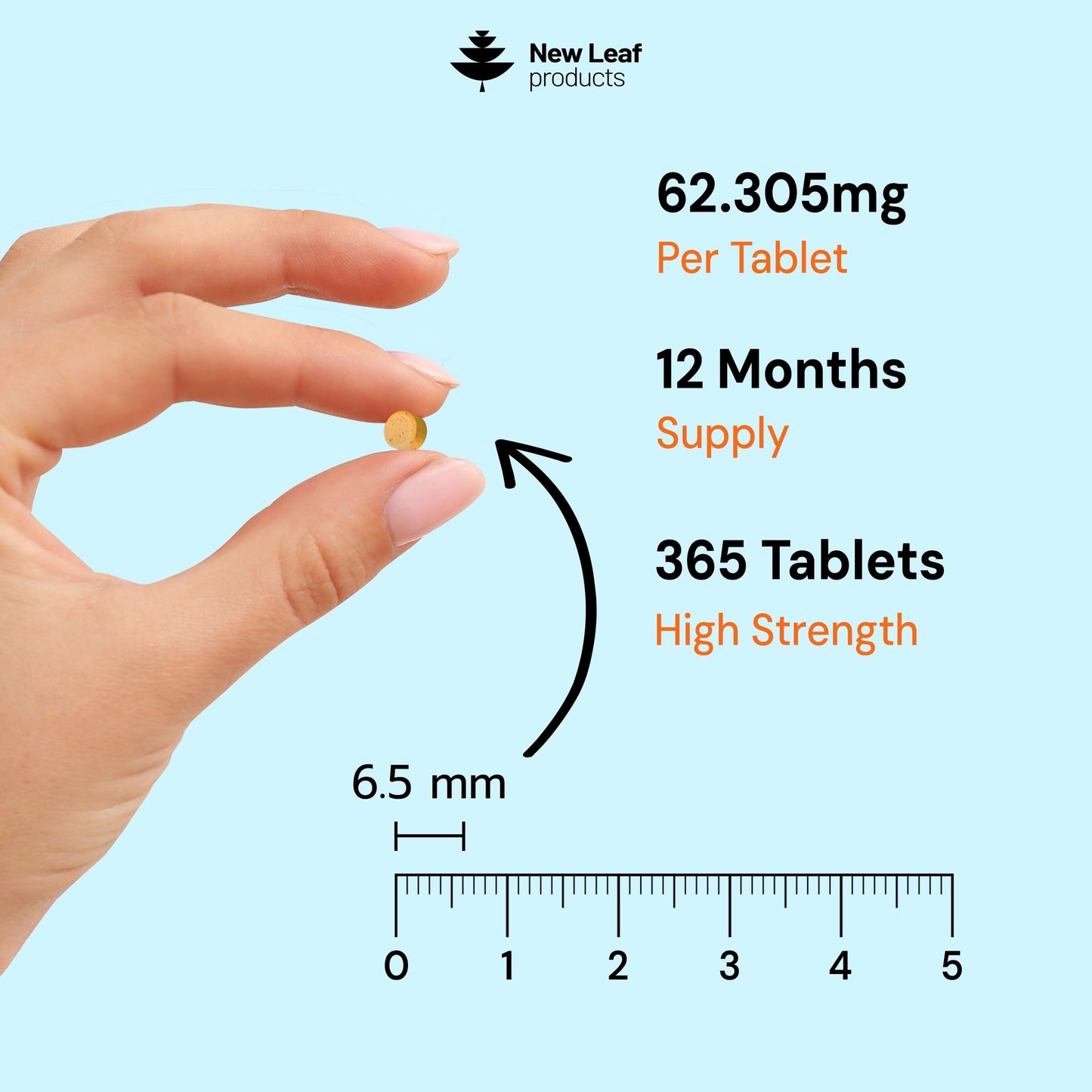 NEW LEAF PRODUCTS Vitamin B Complex - 365 Small Tablets - All 8 B Vitamins B1-B2-B3-B5-B6-B12, (1 Year Supply) High Strength Biotin, Folic Acid and Vitamin C - Reduction of Tiredness, Energy & Immune Support - UK Made