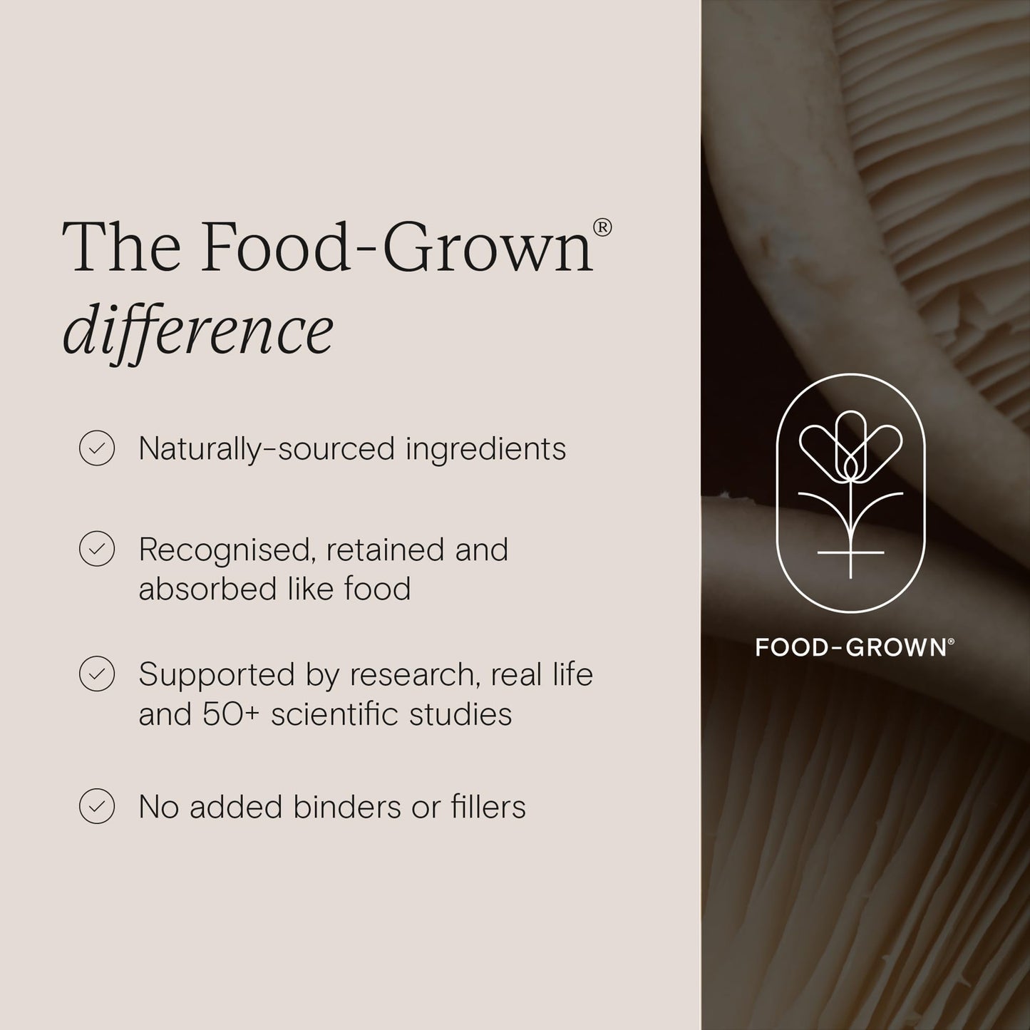 Wild Nutrition Food-Grown® Peri + Menopause Supplement Biotic | Supports Microbiome Balance During Peri/Menopause | 8 Billion Microbiotic Strains | Natural lactobacillus acidophilus | 30 Vitamins