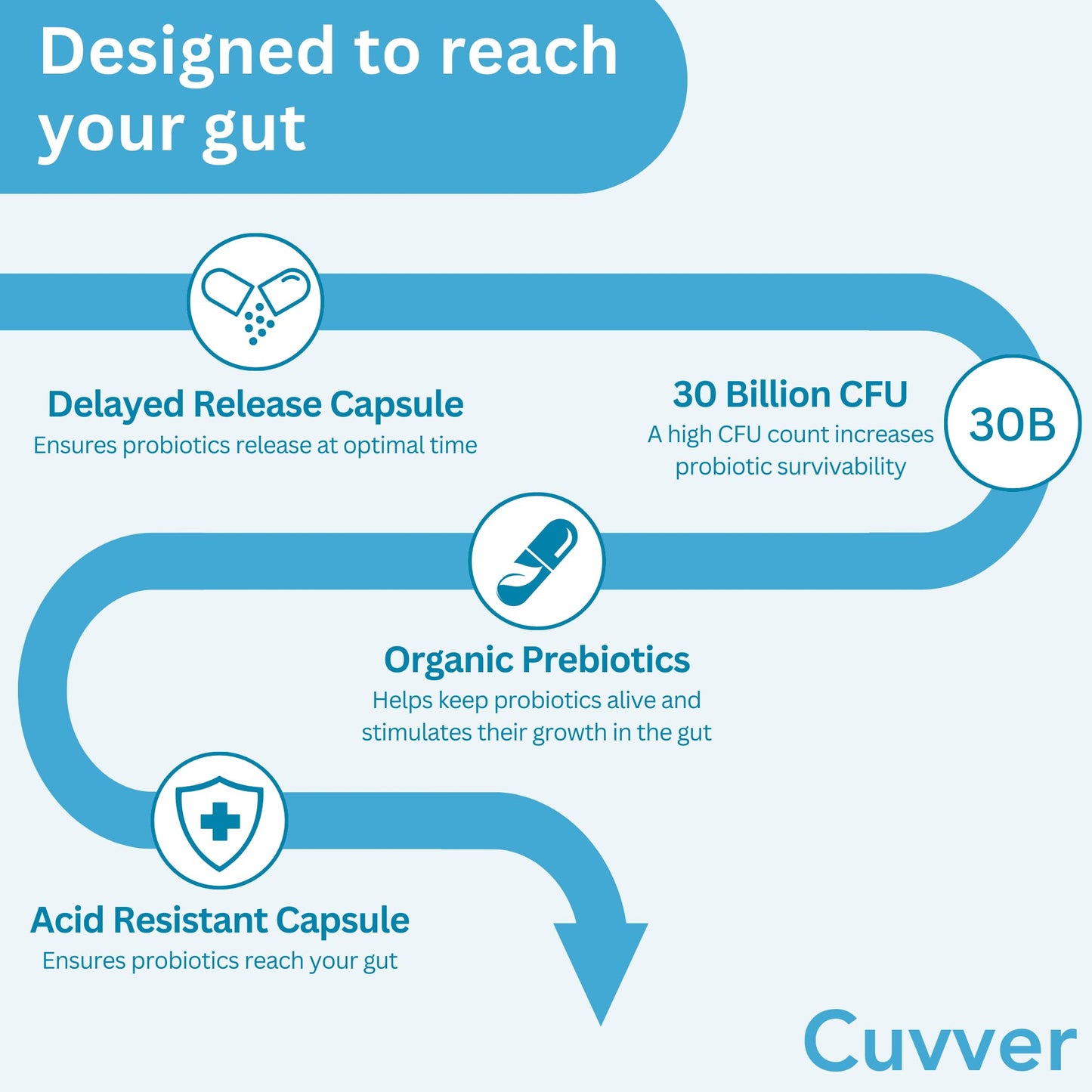 Cuvver Probiotics & Organic Prebiotics Complex - 30 Billion CFU, 1 Month Supply, 10 Live Bacterial Cultures, Gut Health Supplement - Bloating & Digestion - Made in UK, 30 Vegan Capsules