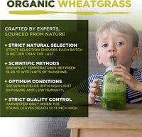 Wheatgrass Capsules | Organic | 1500mg per Serving | 180 Capsules | High Chlorophyll Content | MySuperfoods