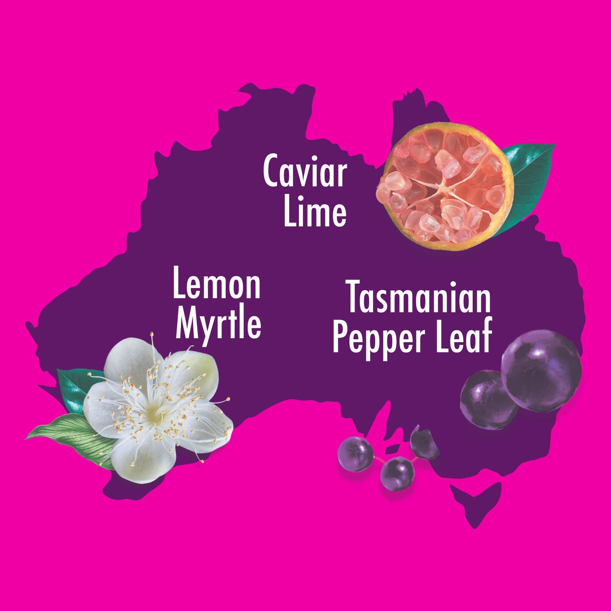 Aussie SOS Hair Mask & Cap Revive Your Lifeless Locks With A Blend Of Australian Superfoods, Vegan, 20ml