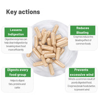 Cura Nutrition CURA NUTRITION - CuraZyme Vital (90 Capsules) | for Sensitive Stomachs, Nutrient Supplements, Digestive Enzymes Supplement Blend, Gut Health Supplement, Easy Digest, Vegan, Dairy Free