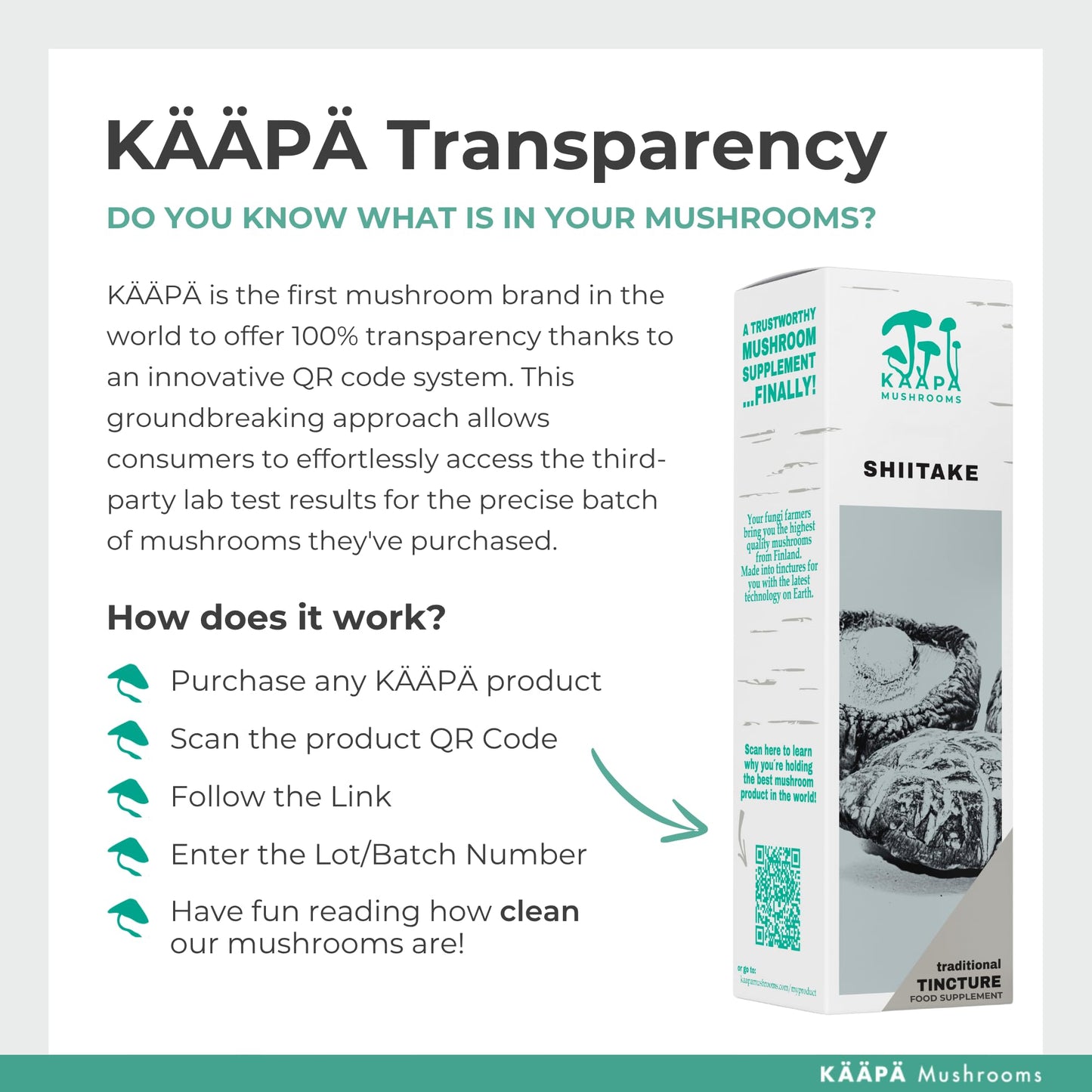 KAAPA Mushrooms KAAPA MUSHROOMS - Shiitake Mushroom Extract Tincture - Potent Ultrasonic Extraction | High Potency Mushroom Supplement for Immunity & Wellbeing | Grown in Finland - 50ml