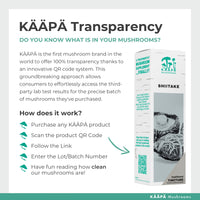 KAAPA Mushrooms KAAPA MUSHROOMS - Shiitake Mushroom Extract Tincture - Potent Ultrasonic Extraction | High Potency Mushroom Supplement for Immunity & Wellbeing | Grown in Finland - 50ml