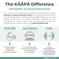 KAAPA MUSHROOMS ORGANIC LIONS MANE MUSHROOM EXTRACT TINCTURE | Unique & Potent Triple Extraction Method | Grown in Finland | Mushroom Supplement for Cognitive Function, Brain & Memory | 50ml