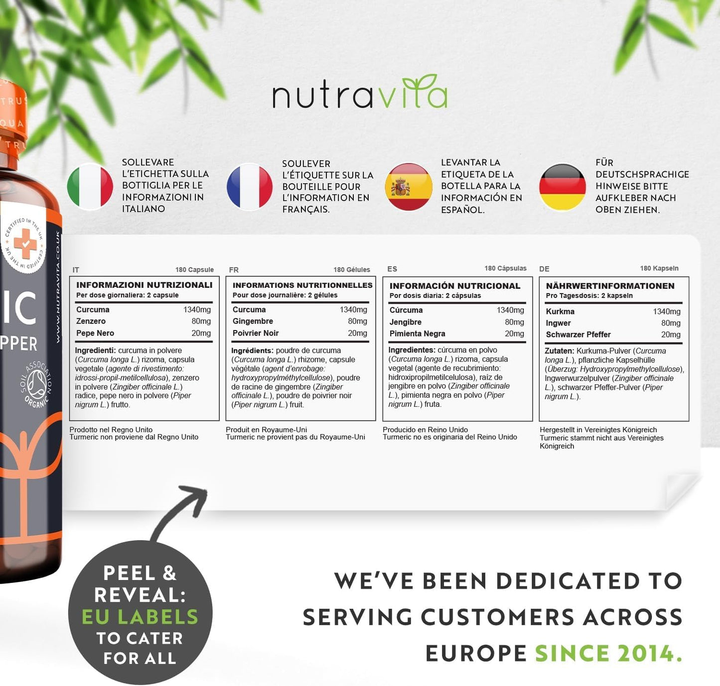 Organic Turmeric 1440mg with Black Pepper & Ginger (2 Packs of 180)- 360 Vegan Turmeric Capsules (6 Month Supply) – High Strength Organic Turmeric with Active Ingredient Curcumin - UK Made - Nutravita