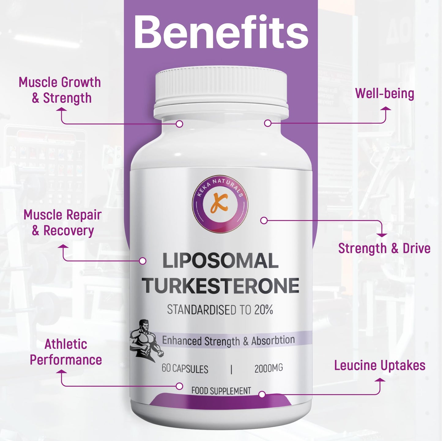 Keka Naturals Liposomal Turkesterone 2000mg, 60 Capsules, Standardised to 20%, Ajuga Turkestanica Extract, Ultra High Absorption, Strength & Muscle, No Additives, Non-GMO, 60 Capsules