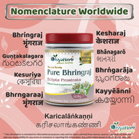 DivyaHerb Pure Bhringraj Powder