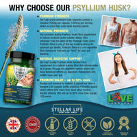 240 X Psyllium Husks Fibre Supplement – 1400mg per Serving – Naturally High in Soluble Fibre – High Strength Vegan Capsules – 4 Months Supply – Made in The UK