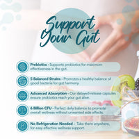 Zipvit Probiotic 6 Billion CFU with Prebiotic Pouch, Multi Strain Probiotics for Gut Health, 5 Strains Including Lactobacillus Acidophilus, 60 Vegetarian Capsules for Women & Men, 2 Month Supply
