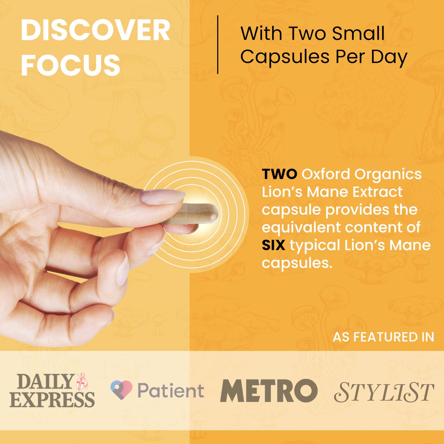 Advanced Lions Mane Mushroom 2400mg - 60 High Strength Vegan Capsules - Lions Mane Supplement with Black Pepper - Lion's Mane Mushroom Supplement (not Lions Mane Powder or Tablets) Made in The UK