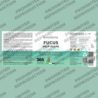 Bandini® Fucus Kelp Algae (Seaweed Natural Iodine 225mcg) - 365 Tablets (1 Year Supply) - High Strength, Vegan - Brown Algae Titrated to 0.1% Iodine - Stimulates Energy Metabolism - Nail & Hair Health