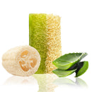 STORELUXY 130gr Aloe Vera Soap Bar With Pumpkin Fiber Natural Handmade Loofah | Oil Balance, Reduces Dryness, Collagen, Cures Blackheads and Acne, Vitamins C and E, Anti Ageing Skincare