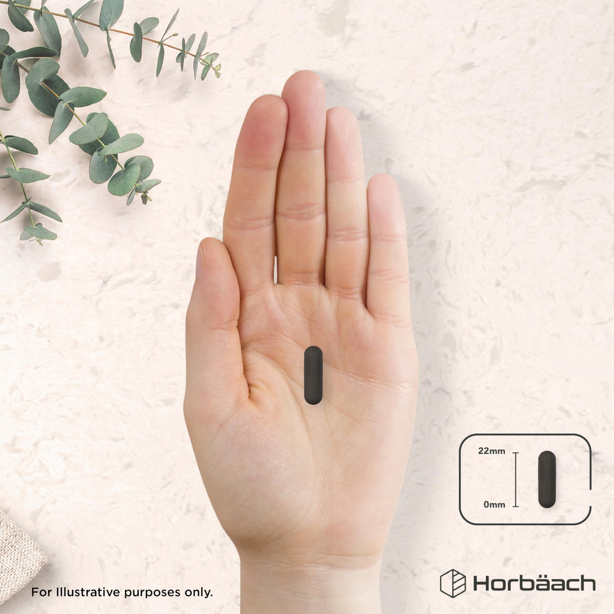 Horbäach Activated Charcoal Capsules | High Strength 1000mg | Supplement from Natural Coconut | 120 Vegan Tablets | by Horbaach