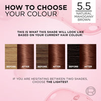 L'Oreal Paris L'Oréal Paris Excellence Crème Permanent Hair Dye, Radiant At-Home Hair Colour with up to 100% Grey Coverage, Pro-Keratin, Up to 8 Weeks of Colour, Colour: 5.5 Natural Mahogany Brown