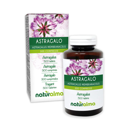 Astragalus (Astragalus membranaceus) Roots NATURALMA | 150 g | 300 Tablets of 500 mg | Food Supplement | Natural and Vegan
