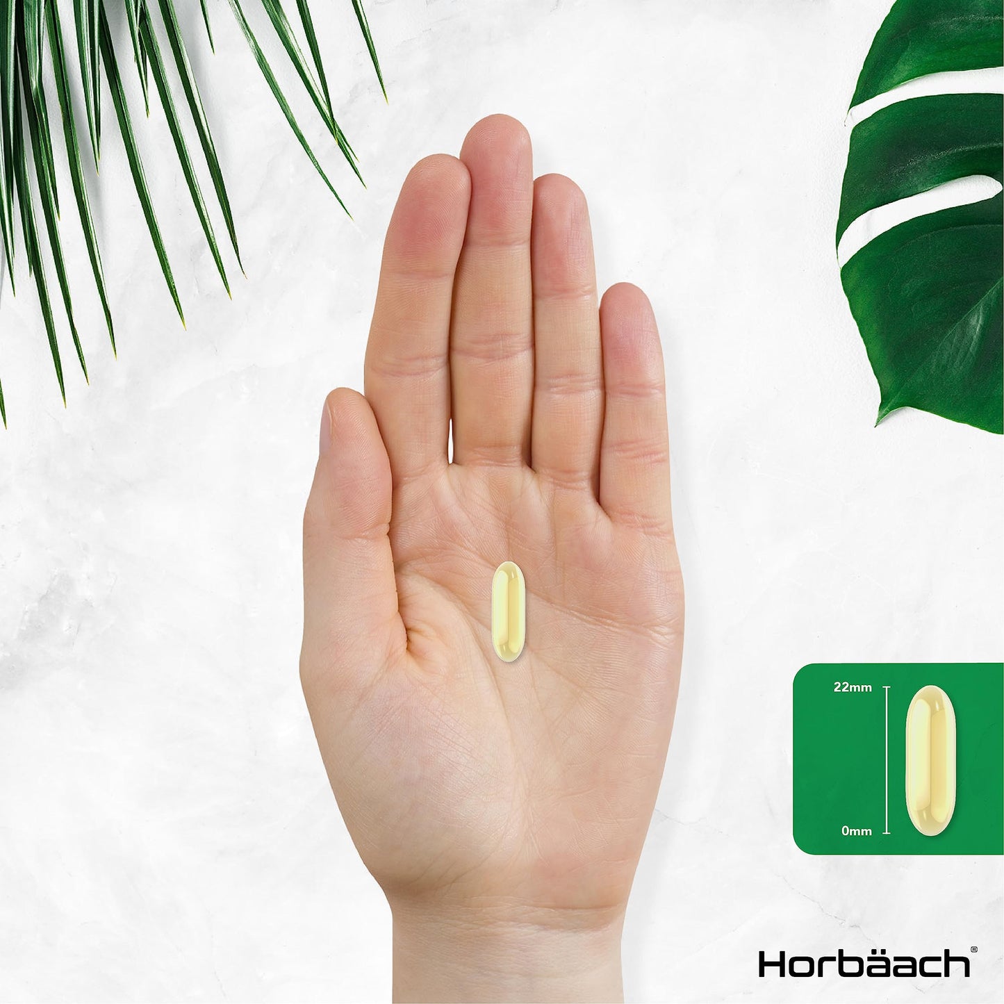 Vitamin E Capsules 1000iu | 200 Count | Protection of Cells from Oxidative Stress | Preservative Free | by Horbaach