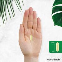Vitamin E Capsules 1000iu | 200 Count | Protection of Cells from Oxidative Stress | Preservative Free | by Horbaach