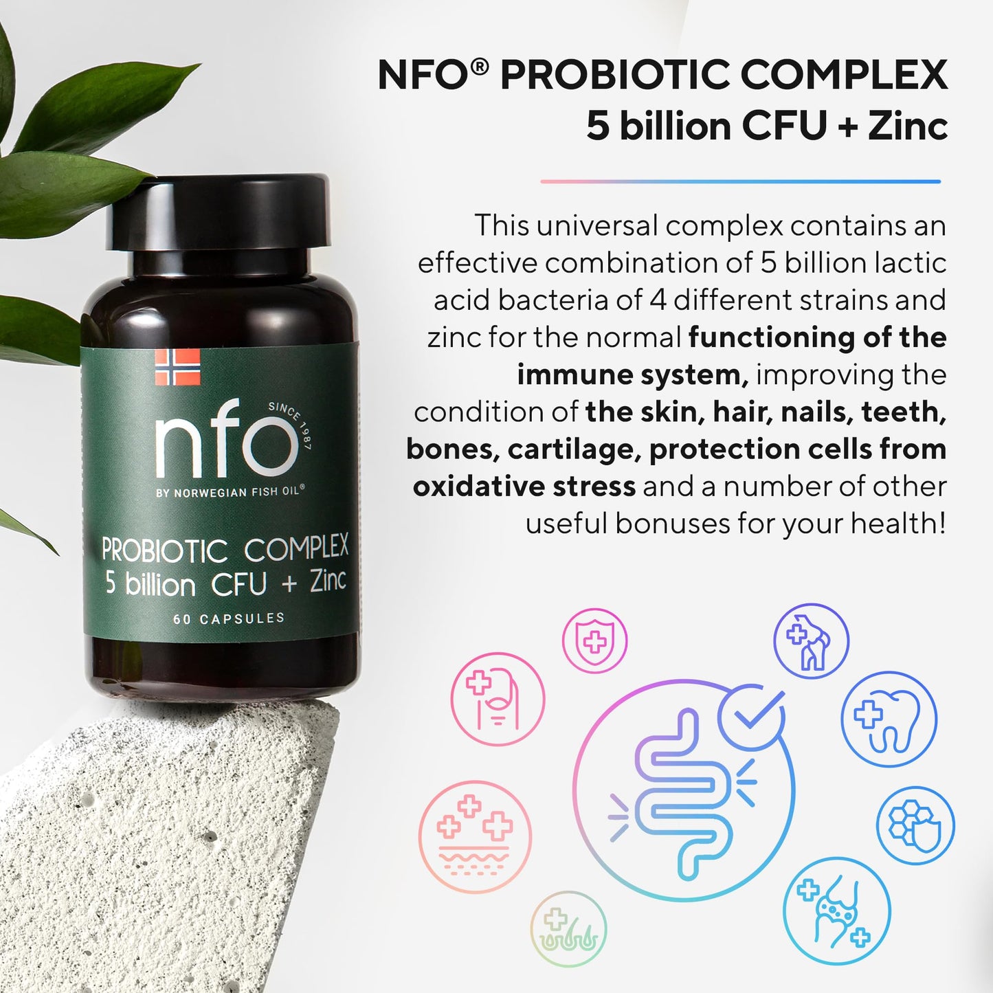 NFO Probiotic Complex 5 billion CFU + Zinc [60 Capsules] Natural High-Dose Complex of Probiotics with Zinc for the Immune System, Skin, Hair, Nails, Teeth, Bones, Made in Finland
