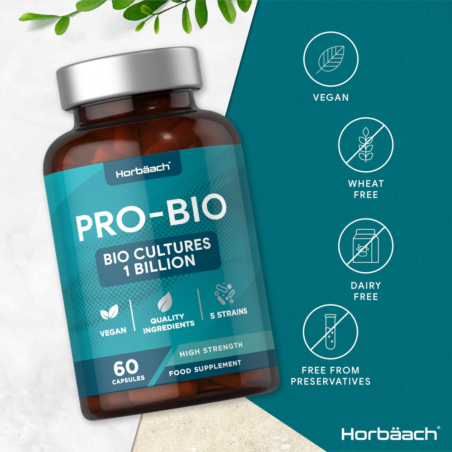 Probiotics for Gut Health | Bio Cultures Complex with Acidophilus & Bifidobacterium, Lactobacillus | 60 Vegan Capsules | by Horbaach
