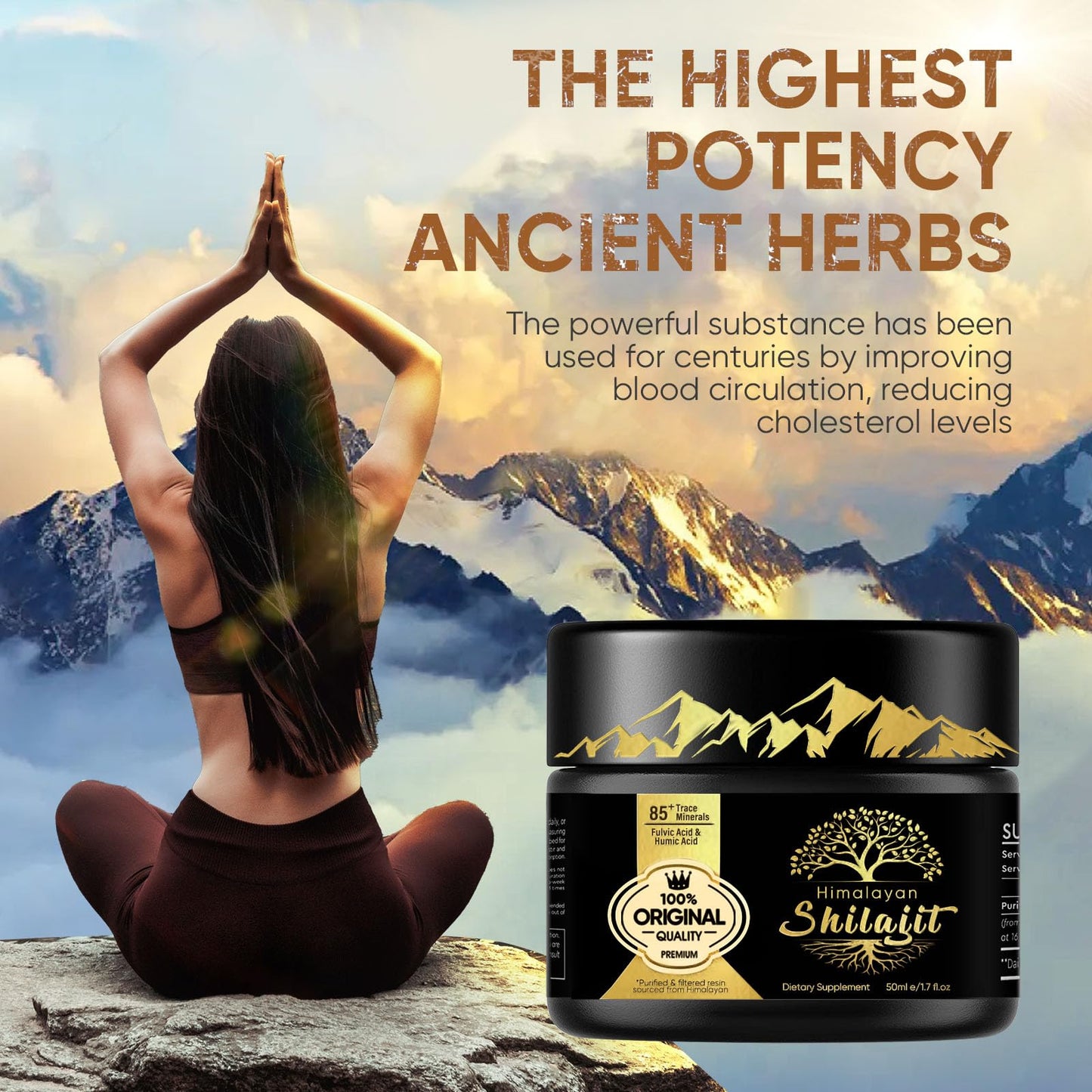 Birsppy Shilajit Resin, Pure Shilajit Organic Supplement with 85+ Trace Minerals & Fulvic Acid, Provide Immune System Support & Vitality Booster for Women & Men