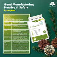 Pycnogenol® French Maritime Pine Bark Extract - 60 Capsules | Providing Naturally Powerful Bioflavonoids | High Bioavailability Pycnogenol | Suitable for Vegans - Made in The UK by Hellenia