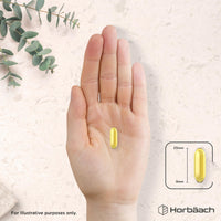 Horbäach Cod Liver Oil Capsules High Strength | 2000mg | 360 Softgel Pills | Rich in Omega 3, Vitamins A & D | Supplement with 171mg of DHA and 151mg of EPA | by Horbaach
