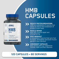 Applied Nutrition HMB Supplement - HMB 500mg Capsules, Metabolite of Leucine, for Muscle Growth & Repair (120 Capsules - 60 Servings)