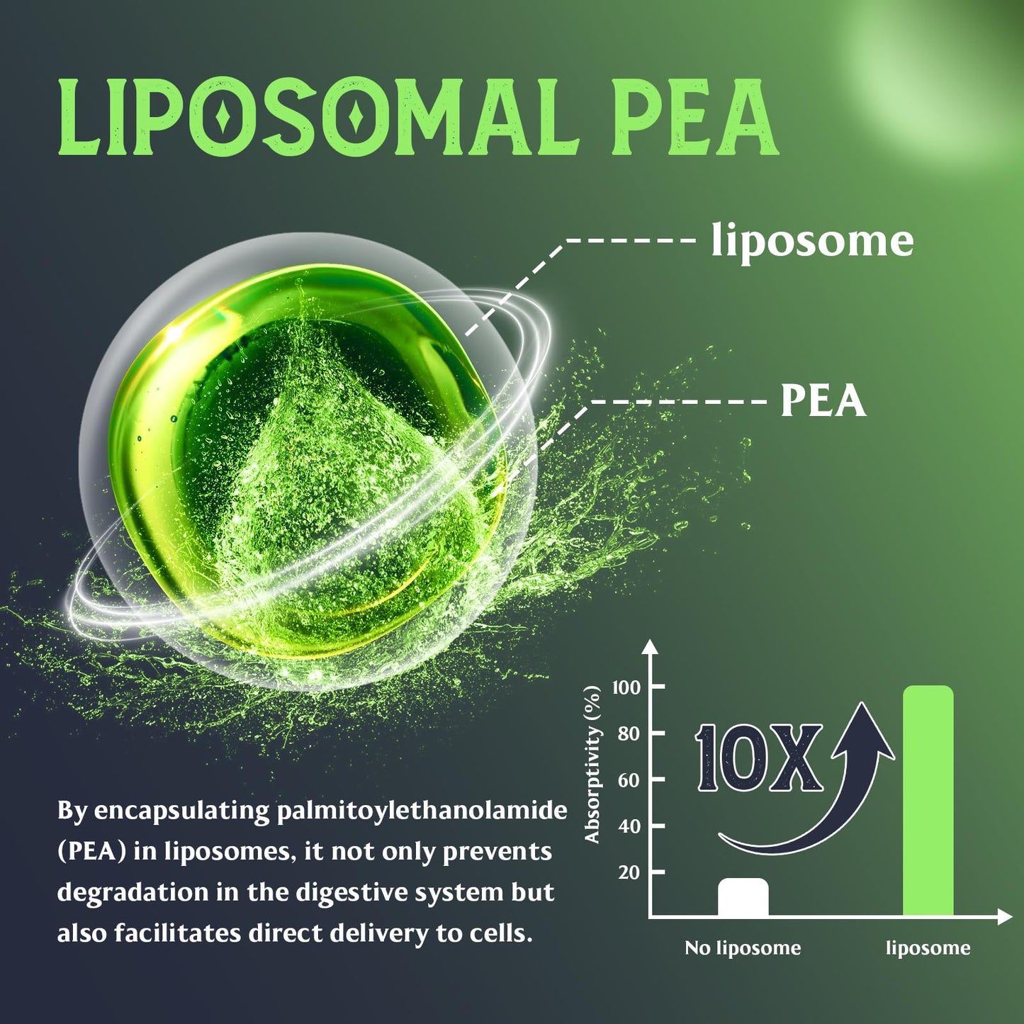 Liposomal Palmitoylethanolamide (Pea) 1100mg with Luteolin, Micronized Pea - High Purity, Super Absorption and Optimal Effectiveness, 60 Softgels (Pack of 1)