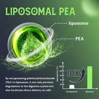 Liposomal Palmitoylethanolamide (Pea) 1100mg with Luteolin, Micronized Pea - High Purity, Super Absorption and Optimal Effectiveness, 60 Softgels (Pack of 1)