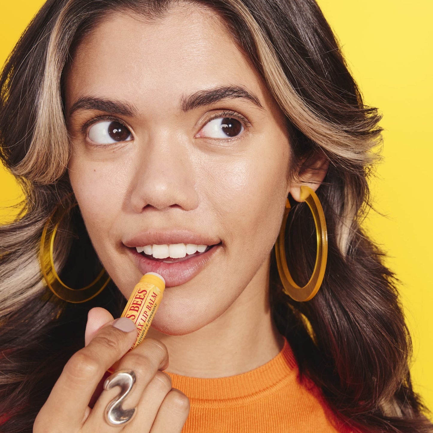 Burt's Bees Lip Balm Multipack, Lip Balm Set With Beeswax & Vanilla Bean, With Vitamin E, Value Duo Pack, 2x4.25g