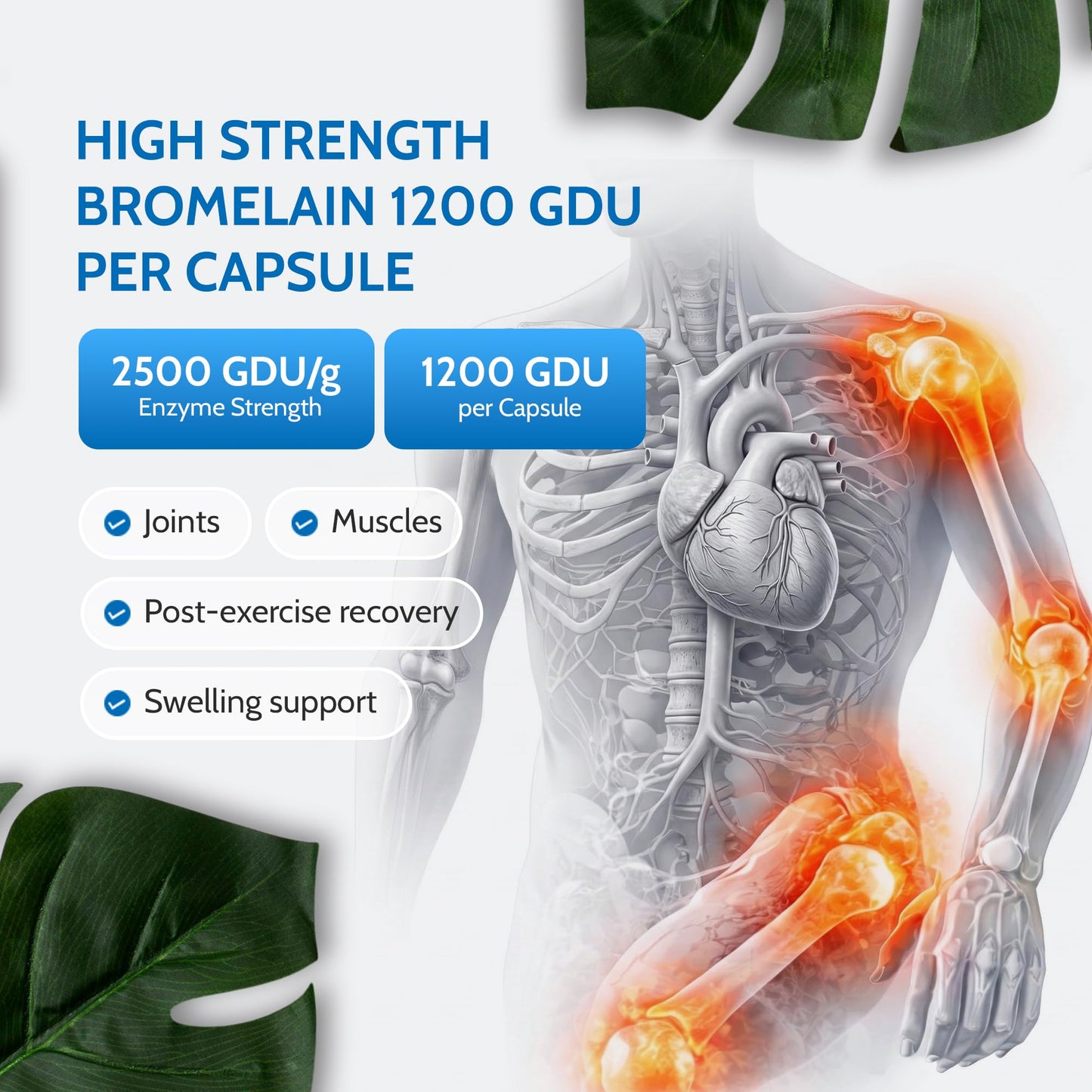 Bromelain 2500 GDU/g High Strength 1200 Units per Capsule for Inflammation, Swelling & Recovery 60 Vegan Capsules Pure Pineapple Enzyme Supplement for Digestion Support UK Made - Health4All