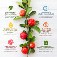 Spring Blossom 300g Organic Acerola Cherry Powder Freeze-Dried 100% Natural Vitamin C Raw Extract Food Supplement Immune System Booster Vegan Gluten-Free Superfood Ascorbic Acid Alternative No Additives Non-GMO