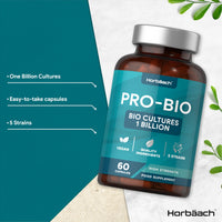 Probiotics for Gut Health | Bio Cultures Complex with Acidophilus & Bifidobacterium, Lactobacillus | 60 Vegan Capsules | by Horbaach