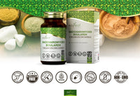 Ezyleaf Nutrition EZ Saccharomyces Boulardii [5 Billion CFU] | 90 Vegan Capsules | Supplement | S. Boulardii with Clean Fillers | ISO Certified, Non-GMO, Gluten & Allergen Free