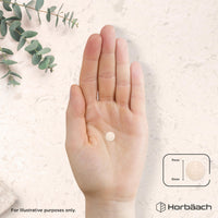 Horbäach Sea Kelp Tablets 4000mg | Natural Source of Iodine | 3 Months Supply | High Strength Kelp Extract | 180 Vegan Tablets | by Horbaach