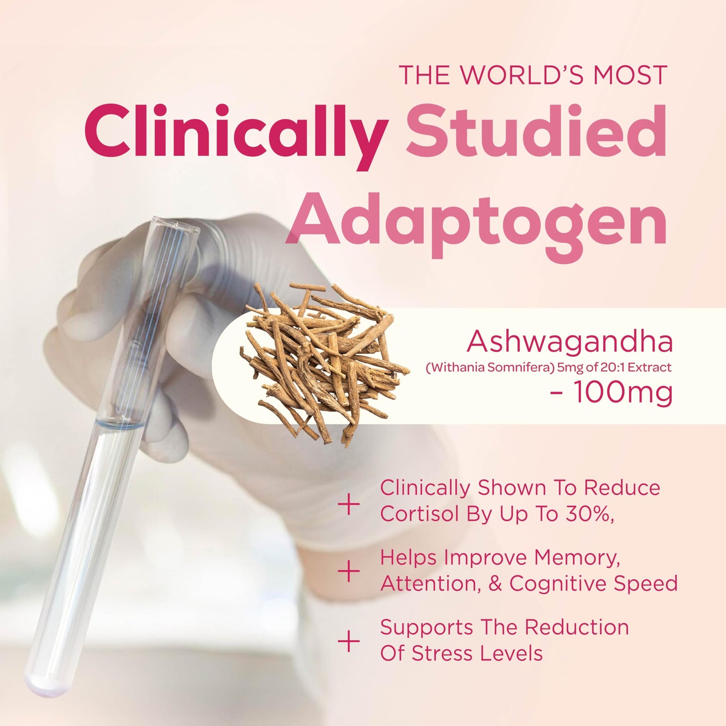 MYCO LOGIC Mycologic Mind Flow Lion's Mane Gummies for Adults, 30 Servings - Natural Clarity & Focus Gummies with Ashwagandha & Aronia Berry - Raspberry & Vanilla Flavour Brain Boost Supplement - 1 Month Supply