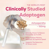 MYCO LOGIC Mycologic Mind Flow Lion's Mane Gummies for Adults, 30 Servings - Natural Clarity & Focus Gummies with Ashwagandha & Aronia Berry - Raspberry & Vanilla Flavour Brain Boost Supplement - 1 Month Supply