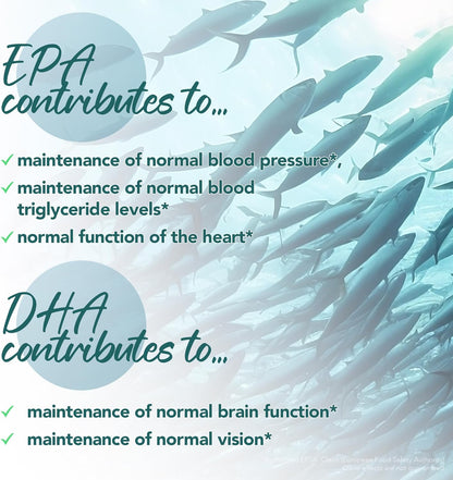 Zipvit Omega 3 Fish Oil 2000mg, EPA 660mg DHA 440mg per Daily Serving. 120 Capsules (2 Months Supply). Supports Heart, Brain Function and Eye Health. 2 Capsules Per Serving