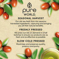 Pure World Natural Jojoba Oil 100% Pure and Undiluted 100ml. Cold and Freshly Pressed Premium Quality Jojoba Oil – Skin, Nails, Body and Face