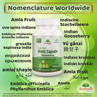 Aushadh Amla Fruit (Gooseberry) Capsule