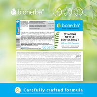 Stinging Nettle Capsules 250 mg - 100 Count Herbal Supplement for Prostate Health Vitality and Water Balance Support by BIOHERBA