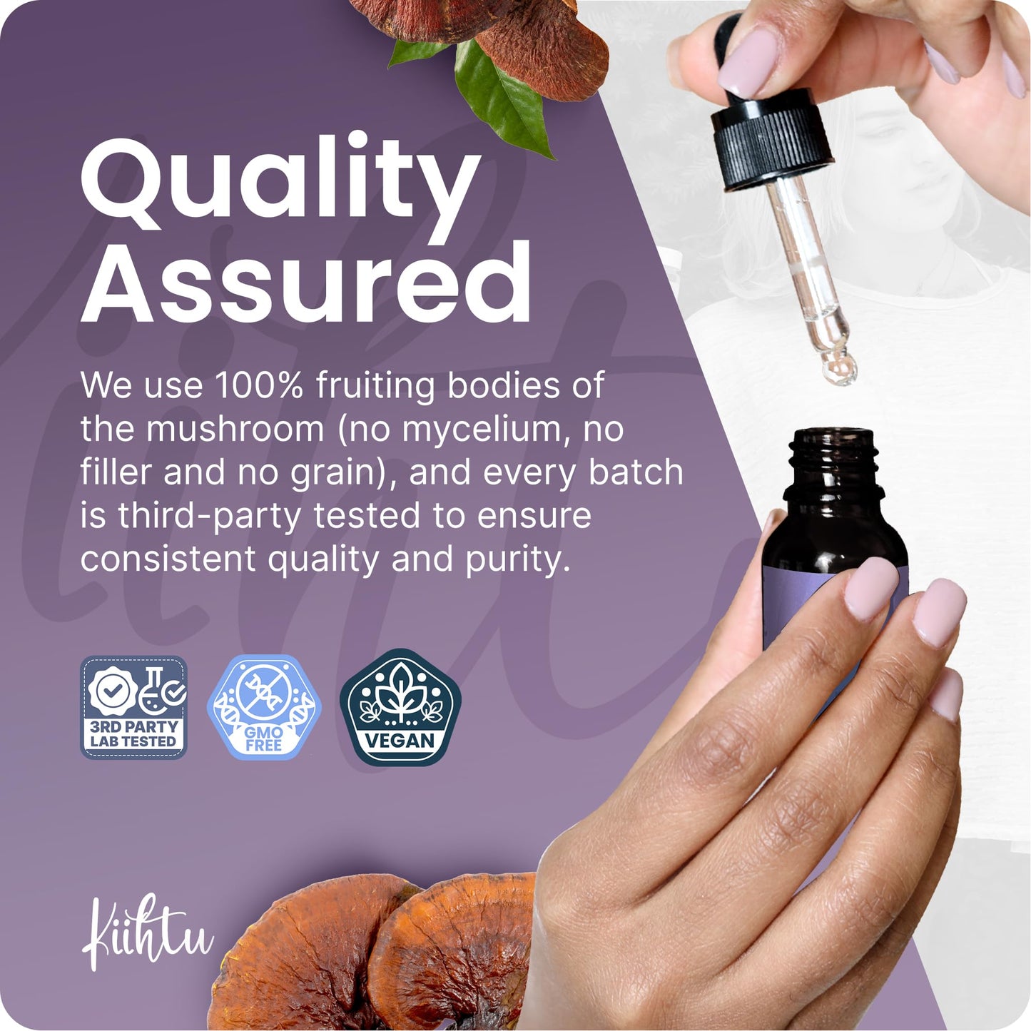 Kiihtu Reishi Liquid Extract Tincture - 50ml | High Strength 2000mg per Serving, Premium Mushroom Tincture Drops | Highest Bioavailability & Absorbency Supplement for The Mind, Sleep & Vitality | UK