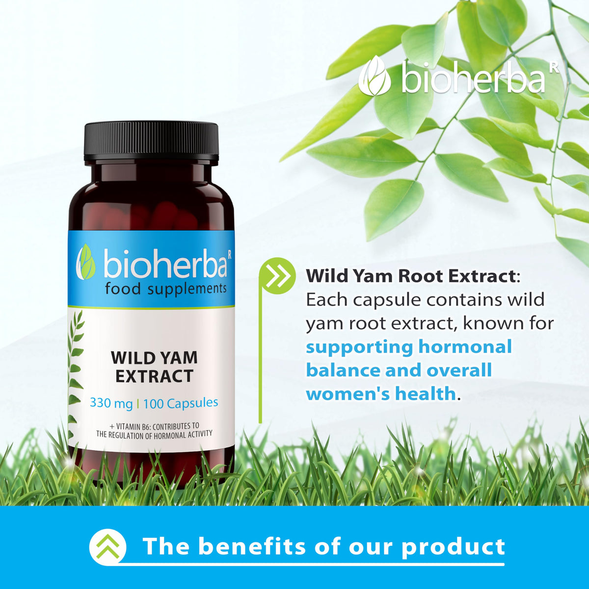 Wild YAM Capsules 330 mg - 200 pcs | Natural Hormonal Support Supplement for Women | Menopause Relief Progesterone & Estrogen Balance by BIOHERBA