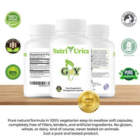 Gout and You NutriUrica - Uric Acid Support with 6 Key Ingredients - 500 mg 90 Vegetarian Capsules