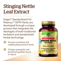 Solgar Nettle Leaf Extract Vegetable Capsules - Pack of 60 - Rich in Antioxidants - Vegan and Kosher