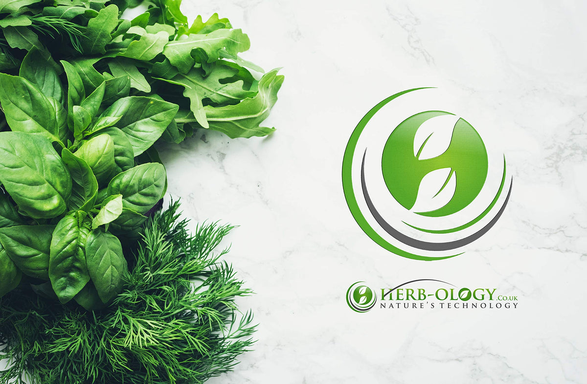 Herb-ology.co.uk Nature's Technology HB Lactobacillus Gasseri | 60 Lactobacillus Probiotic Capsules - High Strength 3 Billion CFU L-Gasseri Probiotic per Serving | Non-GMO, Gluten & Allergen Free | Made in The UK