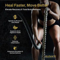 Elevate Supplements BPC 157 ARG, 60 Capsules | Accelerated Muscle & Tissue Recovery Peptide Supplement | Boosts Tendon, Ligament & Nerve Healing with No Injections | Supports Gut, Organ & Skin Health