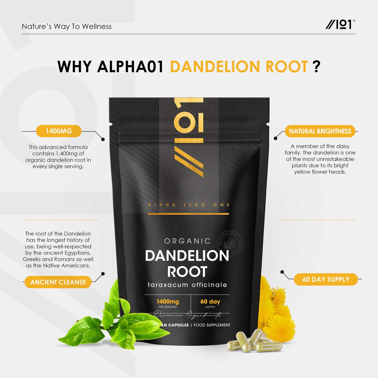 ALPHA01 Organic Dandelion Root 1400mg – 120 Vegan Capsules – High Strength Taraxacum Officinale (2 Months Supply) – Resealable and Recyclable Pouch by Alpha01